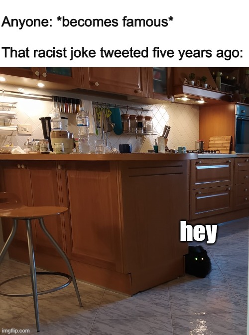 Black cat camping |  Anyone: *becomes famous*


 
That racist joke tweeted five years ago:; hey | image tagged in racis,joke,celebrity | made w/ Imgflip meme maker