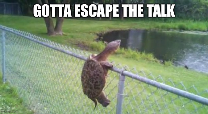 turtle fence escape | GOTTA ESCAPE THE TALK | image tagged in turtle fence escape | made w/ Imgflip meme maker