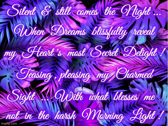 Blissful Night Dreams | Silent  &  still  comes  the  Night ... When  Dreams  blissfully  reveal; my  Heart 's  most  Secret  Delight ! Teasing , pleasing  my  Charmed; Sight  ...  With  what  blesses  me; not  in  the  harsh  Morning  Light ! | image tagged in blissful dreams,secret delight,charmed sight,morning light | made w/ Imgflip meme maker