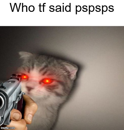 Put yo hands up fool | Who tf said pspsps | image tagged in cat | made w/ Imgflip meme maker