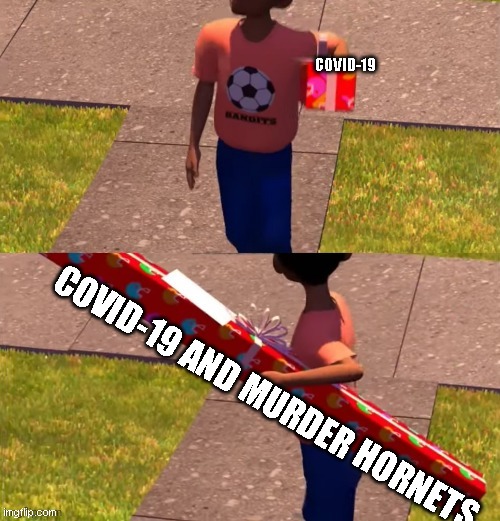 Toy Story Present Kid | COVID-19; COVID-19 AND MURDER HORNETS | image tagged in toy story present kid | made w/ Imgflip meme maker