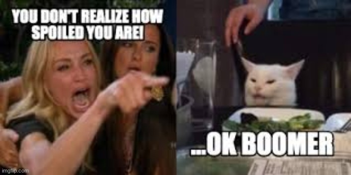 ok boomer | image tagged in ok boomer,woman yelling at cat | made w/ Imgflip meme maker