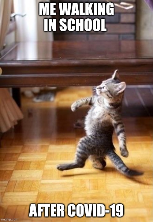 Cool Cat Stroll | ME WALKING IN SCHOOL; AFTER COVID-19 | image tagged in memes,cool cat stroll | made w/ Imgflip meme maker