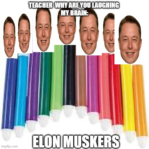 Elon Muskers | TEACHER  WHY ARE YOU LAUGHING 

MY BRAIN:; ELON MUSKERS | image tagged in elon musk,gen z,random | made w/ Imgflip meme maker