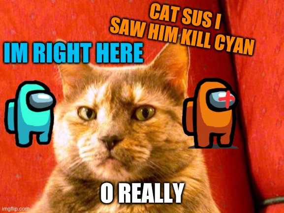 no really |  CAT SUS I SAW HIM KILL CYAN; IM RIGHT HERE; O REALLY | image tagged in memes,suspicious cat,among us | made w/ Imgflip meme maker