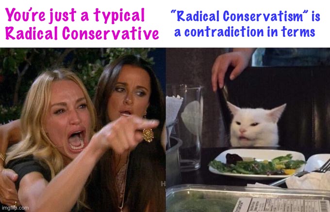 Woman Yelling At Cat Meme | You’re just a typical Radical Conservative; “Radical Conservatism” is
 a contradiction in terms | image tagged in memes,woman yelling at cat | made w/ Imgflip meme maker