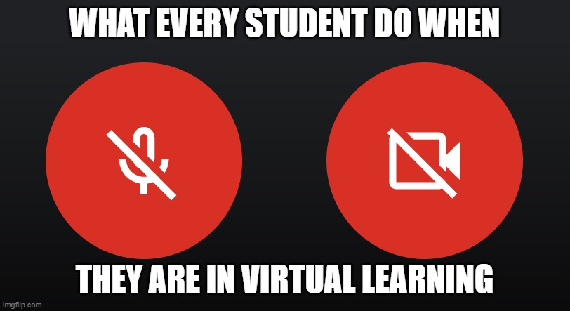 Mute Button | WHAT EVERY STUDENT DO WHEN; THEY ARE IN VIRTUAL LEARNING | image tagged in mute mic turn off video | made w/ Imgflip meme maker