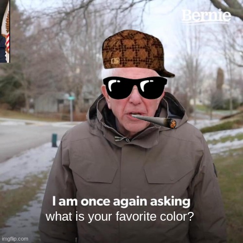 Bernie I Am Once Again Asking For Your Support Meme | what is your favorite color? | image tagged in memes,bernie i am once again asking for your support | made w/ Imgflip meme maker