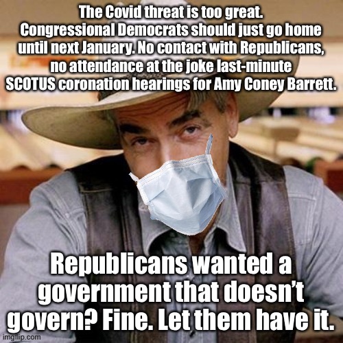 The current government is no longer legitimate. Go home. | The Covid threat is too great. Congressional Democrats should just go home until next January. No contact with Republicans, no attendance at the joke last-minute SCOTUS coronation hearings for Amy Coney Barrett. Republicans wanted a government that doesn’t govern? Fine. Let them have it. | image tagged in sarcasm cowboy with face mask,republicans,democrats,election 2020,covid-19,government | made w/ Imgflip meme maker