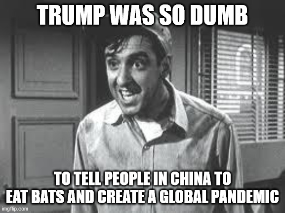 Gomer Pyle | TRUMP WAS SO DUMB TO TELL PEOPLE IN CHINA TO EAT BATS AND CREATE A GLOBAL PANDEMIC | image tagged in gomer pyle | made w/ Imgflip meme maker