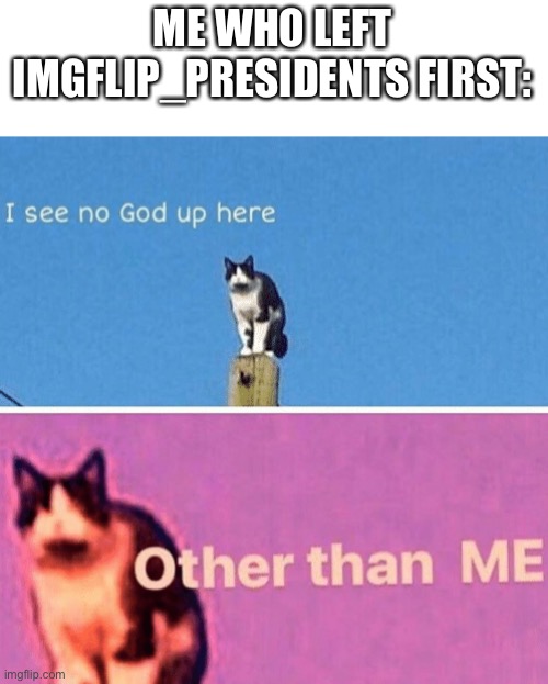 Hail pole cat | ME WHO LEFT IMGFLIP_PRESIDENTS FIRST: | image tagged in hail pole cat | made w/ Imgflip meme maker