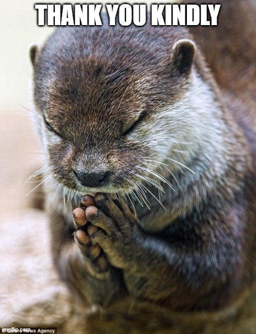 Thank you Lord Otter | THANK YOU KINDLY | image tagged in thank you lord otter | made w/ Imgflip meme maker