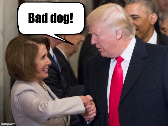 Trump pelosi | Bad dog! | image tagged in trump pelosi | made w/ Imgflip meme maker