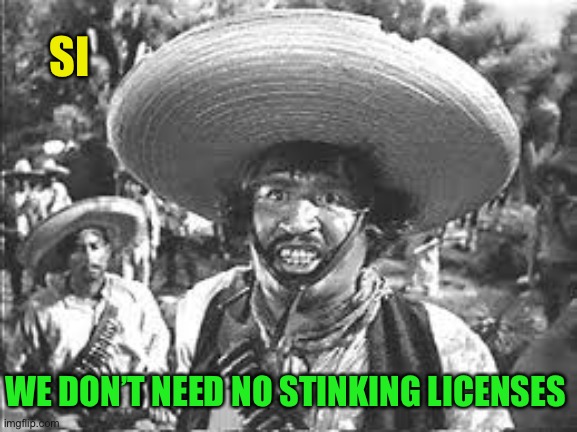 We Don't Need No Stinking Badges | SI WE DON’T NEED NO STINKING LICENSES | image tagged in we don't need no stinking badges | made w/ Imgflip meme maker