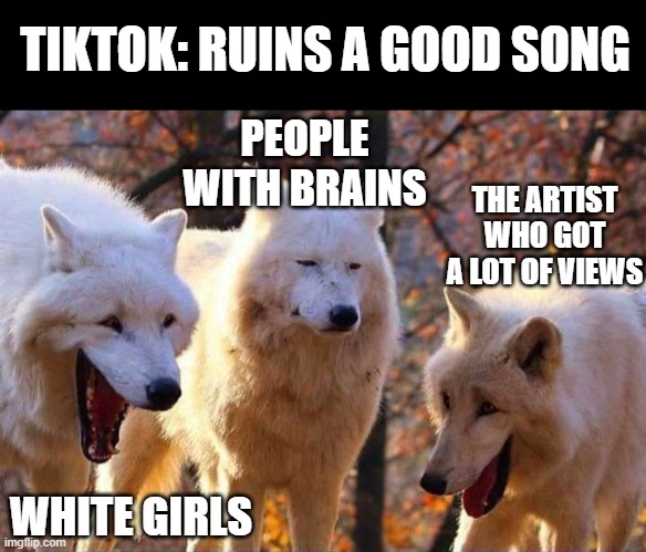 Laughing Wolf |  TIKTOK: RUINS A GOOD SONG; PEOPLE WITH BRAINS; THE ARTIST WHO GOT A LOT OF VIEWS; WHITE GIRLS | image tagged in laughing wolf,imgflip,tiktok | made w/ Imgflip meme maker