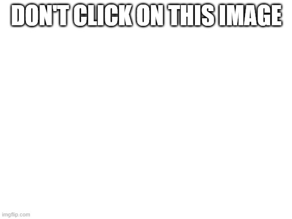 Blank White Template | DON'T CLICK ON THIS IMAGE | image tagged in blank white template | made w/ Imgflip meme maker