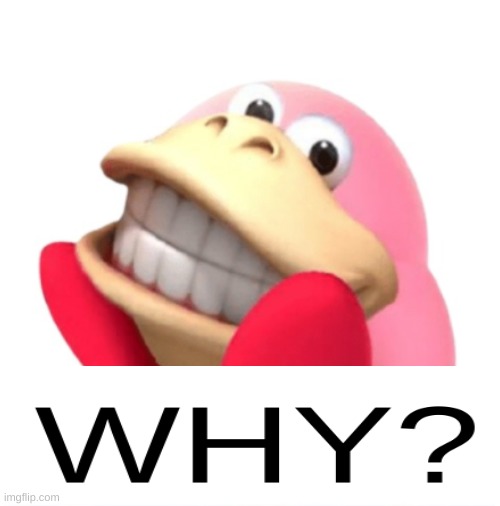 why nintendo? WHY? | image tagged in why,would you like to,die | made w/ Imgflip meme maker