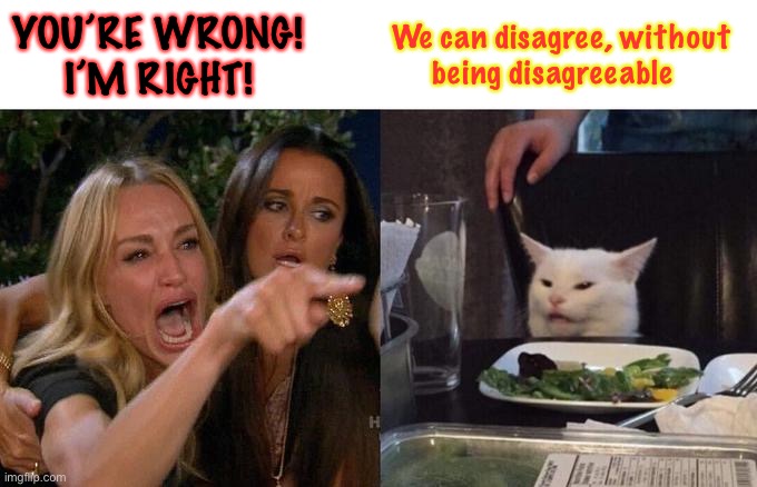 Woman Yelling At Cat | YOU’RE WRONG!
     I’M RIGHT! We can disagree, without 
     being disagreeable | image tagged in memes,woman yelling at cat | made w/ Imgflip meme maker