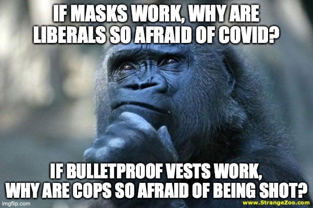 Deep Thoughts | IF MASKS WORK, WHY ARE LIBERALS SO AFRAID OF COVID? IF BULLETPROOF VESTS WORK, WHY ARE COPS SO AFRAID OF BEING SHOT? | image tagged in deep thoughts,masks,covid,police brutality | made w/ Imgflip meme maker