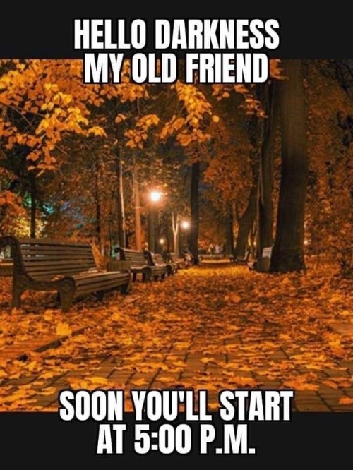 Image Tagged In Funny Meme Fall Fall Back Imgflip
