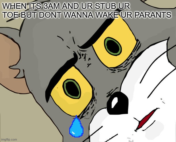 FUNY I THINK | WHEN ITS 3AM AND UR STUB UR TOE BUT DONT WANNA WAKE UR PARANTS | image tagged in memes,unsettled tom | made w/ Imgflip meme maker