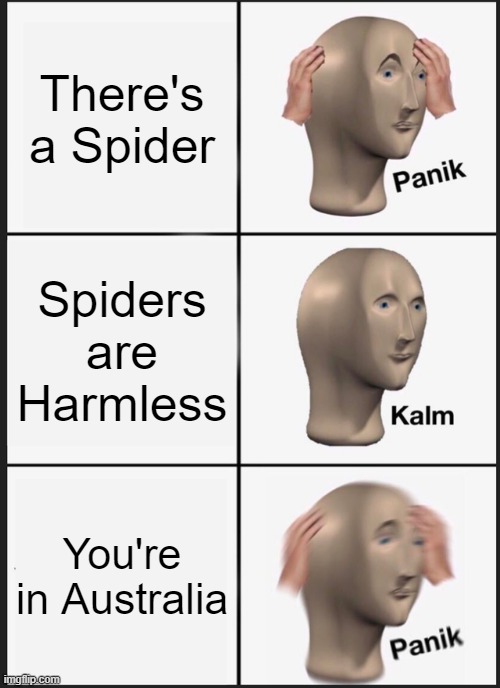 Panik Kalm Panik | There's a Spider; Spiders are Harmless; You're in Australia | image tagged in memes,panik kalm panik | made w/ Imgflip meme maker