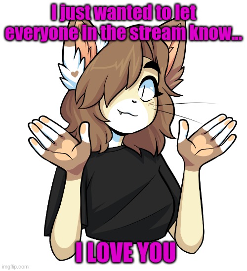 I LOVE YOU!!! | I just wanted to let everyone in the stream know... I LOVE YOU | made w/ Imgflip meme maker