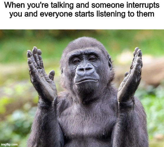 Gorilla | When you're talking and someone interrupts you and everyone starts listening to them | image tagged in monkey | made w/ Imgflip meme maker