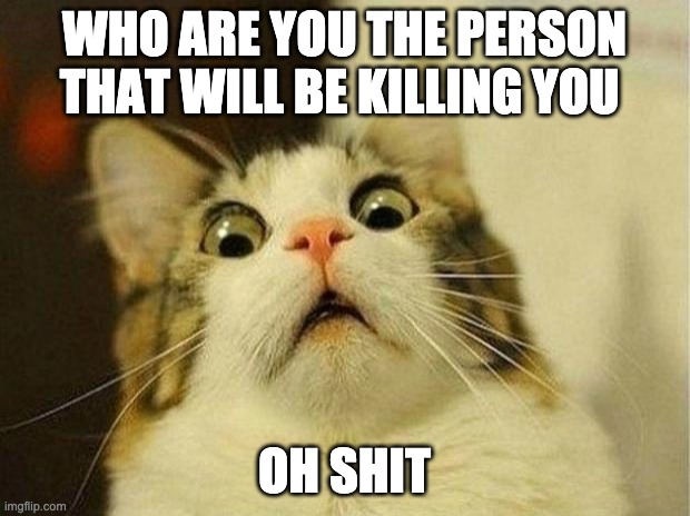 Scared Cat Meme | WHO ARE YOU THE PERSON THAT WILL BE KILLING YOU; OH SHIT | image tagged in memes,scared cat | made w/ Imgflip meme maker