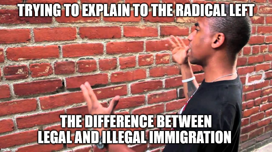 Talking to wall | TRYING TO EXPLAIN TO THE RADICAL LEFT THE DIFFERENCE BETWEEN LEGAL AND ILLEGAL IMMIGRATION | image tagged in talking to wall | made w/ Imgflip meme maker