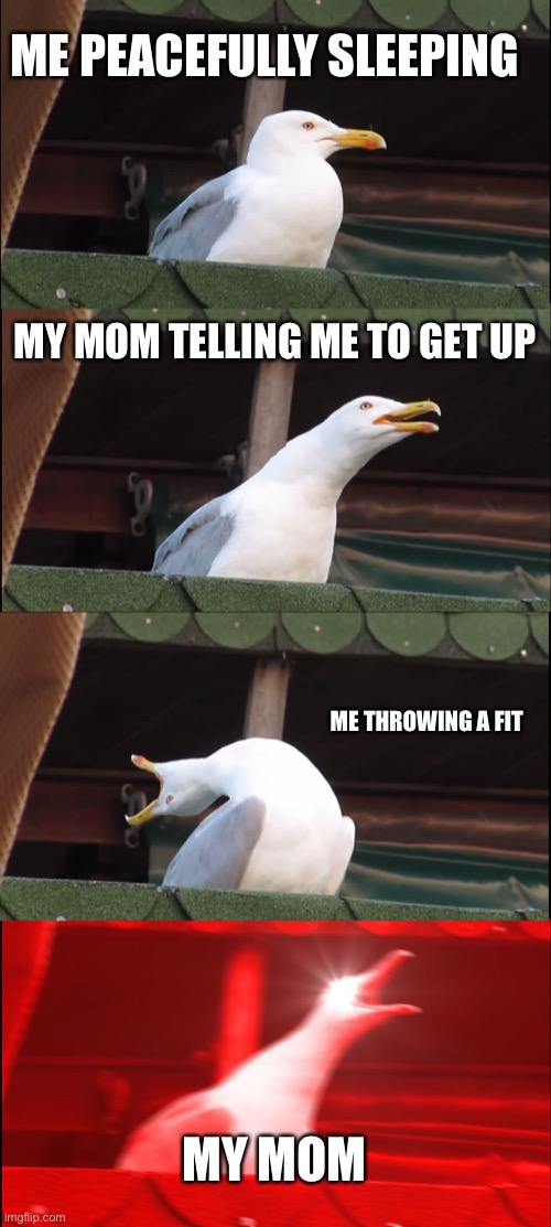 Inhaling Seagull Meme | ME PEACEFULLY SLEEPING; MY MOM TELLING ME TO GET UP; ME THROWING A FIT; MY MOM | image tagged in memes,inhaling seagull | made w/ Imgflip meme maker