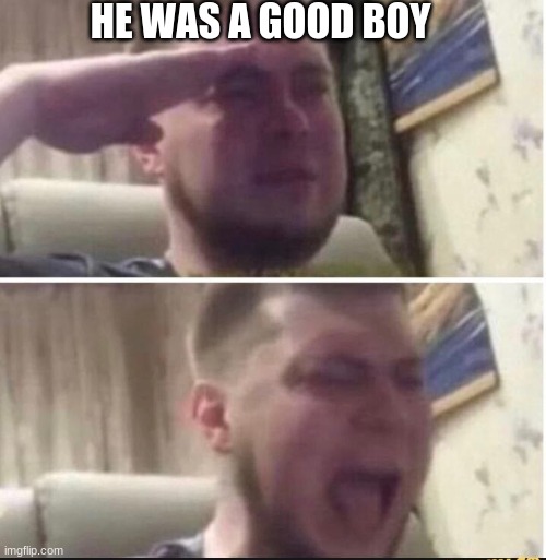 Crying salute | HE WAS A GOOD BOY | image tagged in crying salute | made w/ Imgflip meme maker