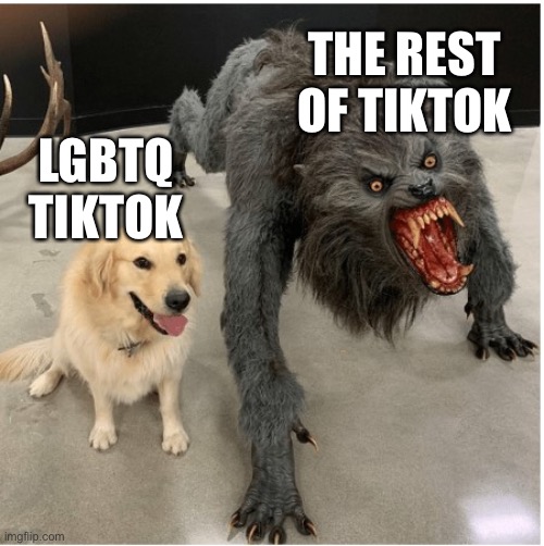 dog wolf | THE REST OF TIKTOK; LGBTQ TIKTOK | image tagged in dog wolf | made w/ Imgflip meme maker