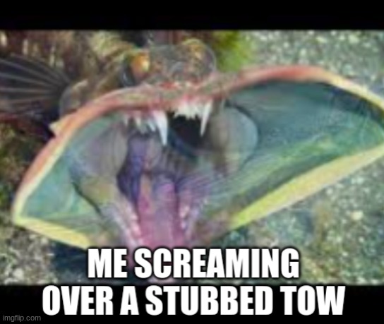 E | image tagged in memes | made w/ Imgflip meme maker