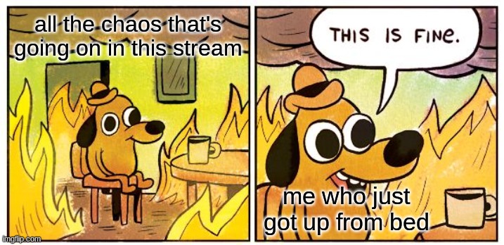 *internal screaming* | all the chaos that's going on in this stream; me who just got up from bed | image tagged in memes,this is fine | made w/ Imgflip meme maker