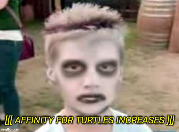I like turtles | [[[ AFFINITY FOR TURTLES INCREASES ]]] | image tagged in i like turtles | made w/ Imgflip meme maker