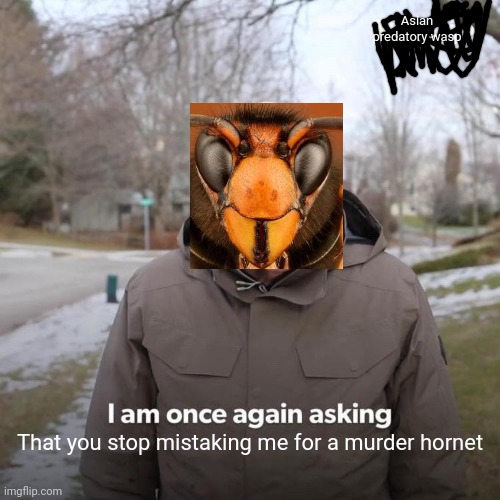 Bernie I Am Once Again Asking For Your Support Meme | Asian predatory wasp; That you stop mistaking me for a murder hornet | image tagged in memes,bernie i am once again asking for your support | made w/ Imgflip meme maker