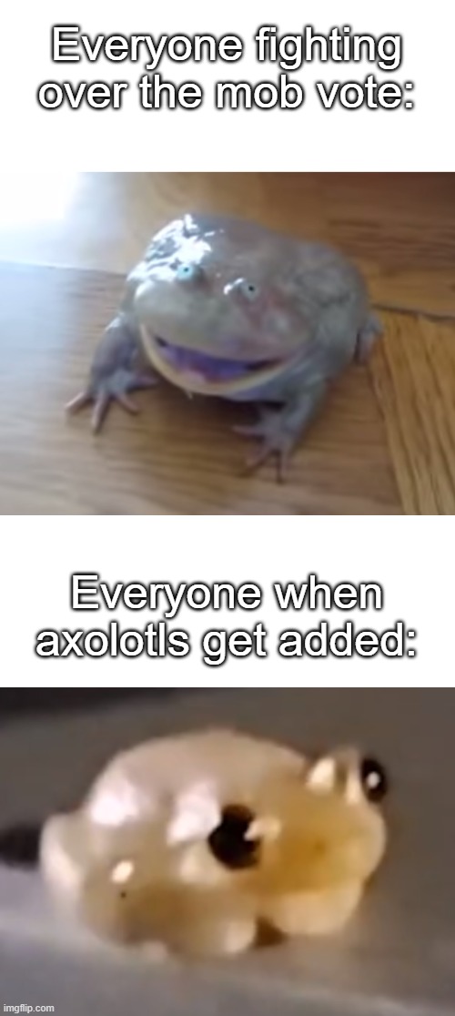 Mob vote in a nutshell | Everyone fighting over the mob vote:; Everyone when axolotls get added: | image tagged in minecraft,mob vote | made w/ Imgflip meme maker