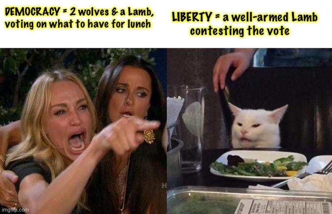 Big & Bad, vs Meek & Mild  (but, not defenseless!) | DEMOCRACY = 2 wolves & a Lamb, 
voting on what to have for lunch; LIBERTY = a well-armed Lamb 
      contesting the vote | image tagged in memes,woman yelling at cat,2a,fjb voters kissmyass,perverted leftists,progressives fvc up everything they touch | made w/ Imgflip meme maker