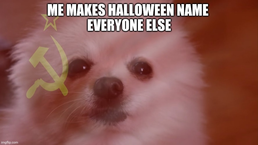 ME MAKES HALLOWEEN NAME 

EVERYONE ELSE | made w/ Imgflip meme maker