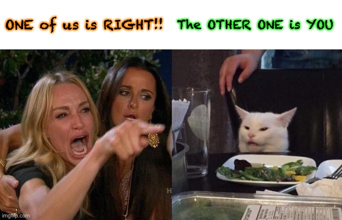 Woman Yelling At Cat Meme | ONE of us is RIGHT!! The OTHER ONE is YOU | image tagged in memes,woman yelling at cat | made w/ Imgflip meme maker