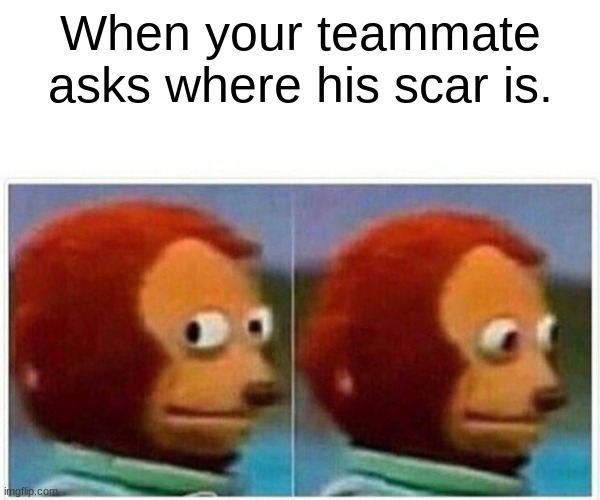 Official Scar Meme | When your teammate asks where his scar is. | image tagged in memes,monkey puppet | made w/ Imgflip meme maker