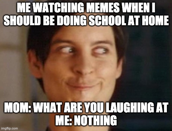 Spiderman Peter Parker Meme | ME WATCHING MEMES WHEN I SHOULD BE DOING SCHOOL AT HOME; MOM: WHAT ARE YOU LAUGHING AT
ME: NOTHING | image tagged in memes,spiderman peter parker | made w/ Imgflip meme maker