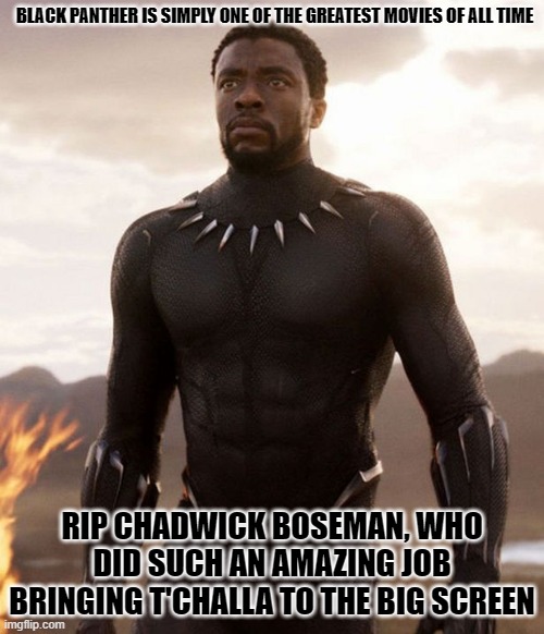 really.  You will love this movie. | BLACK PANTHER IS SIMPLY ONE OF THE GREATEST MOVIES OF ALL TIME; RIP CHADWICK BOSEMAN, WHO DID SUCH AN AMAZING JOB BRINGING T'CHALLA TO THE BIG SCREEN | image tagged in black panther,chadwick boseman,marvel cinematic universe,marvel | made w/ Imgflip meme maker