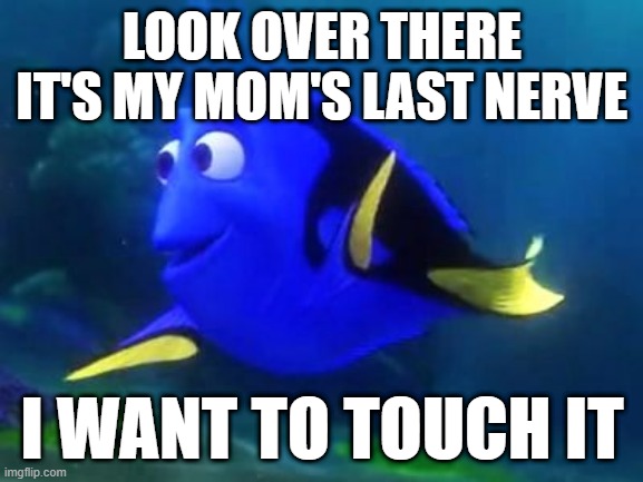 Lasst nerve | LOOK OVER THERE IT'S MY MOM'S LAST NERVE; I WANT TO TOUCH IT | image tagged in finding dory | made w/ Imgflip meme maker