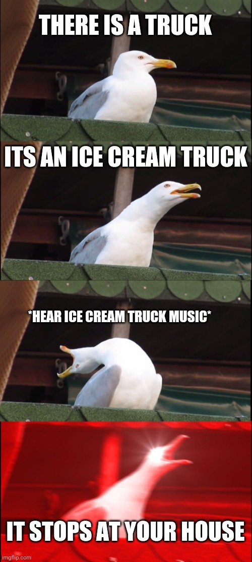 Don't mind me. Look at the dude who told me what to do in my last image | THERE IS A TRUCK; ITS AN ICE CREAM TRUCK; *HEAR ICE CREAM TRUCK MUSIC*; IT STOPS AT YOUR HOUSE | image tagged in memes,inhaling seagull | made w/ Imgflip meme maker