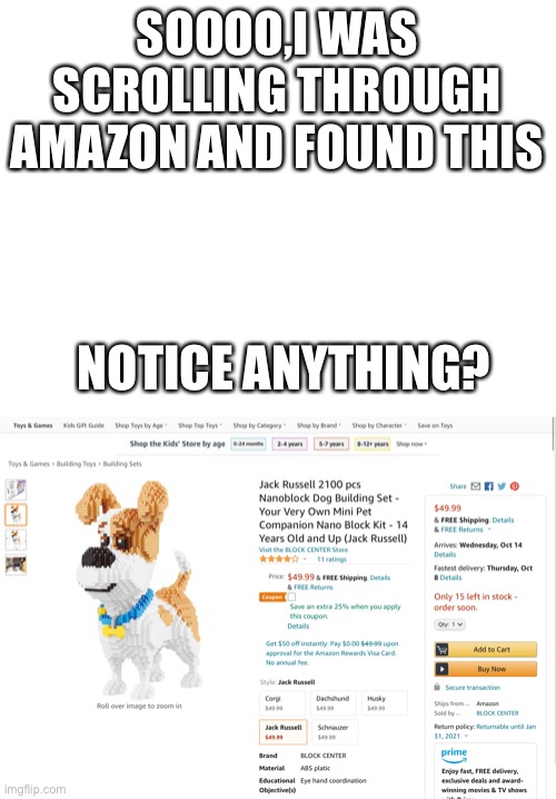Wait one second | SOOOO,I WAS SCROLLING THROUGH AMAZON AND FOUND THIS; NOTICE ANYTHING? | image tagged in blank white template | made w/ Imgflip meme maker