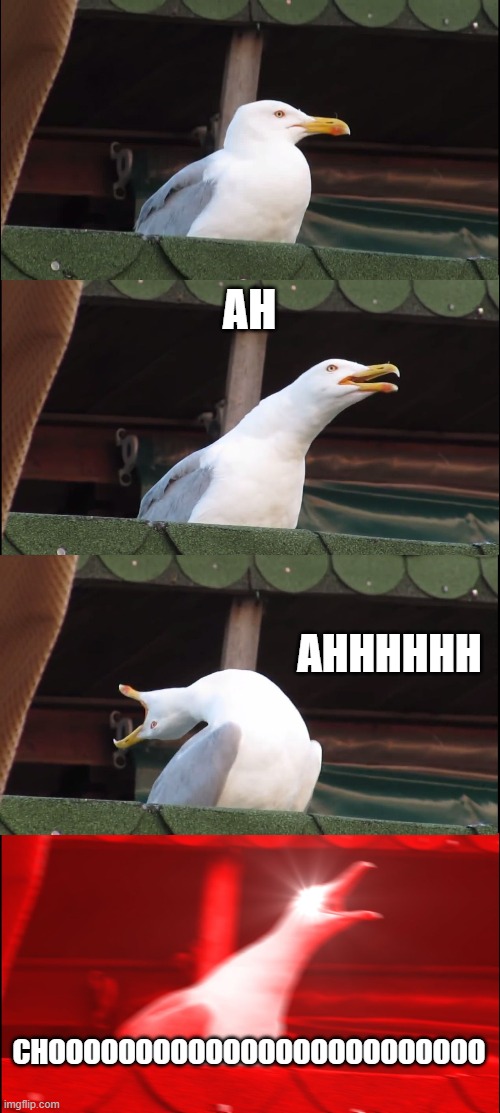 Inhaling Seagull | AH; AHHHHHH; CHOOOOOOOOOOOOOOOOOOOOOOOOO | image tagged in memes,inhaling seagull,sneezing | made w/ Imgflip meme maker