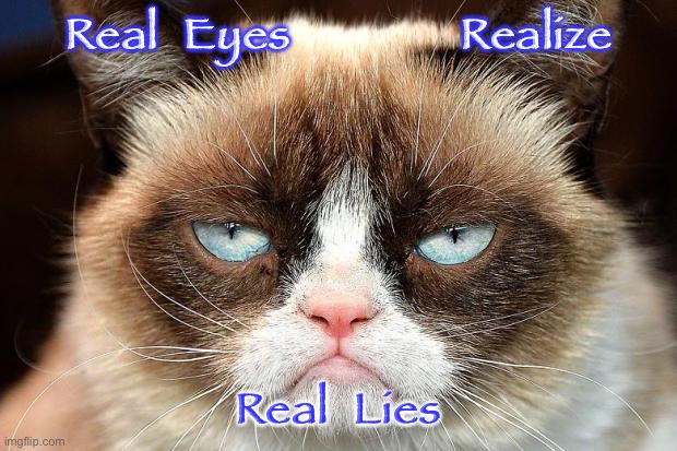 Grumpy Cat Not Amused | Real  Eyes              Realize; Real  Lies | image tagged in memes,grumpy cat not amused,grumpy cat | made w/ Imgflip meme maker