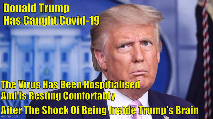 Trump's Covid-19 Infection | Donald Trump Has Caught Covid-19; The Virus Has Been Hospitialised 
And Is Resting Comfortably; After The Shock Of Being Inside Trump's Brain | image tagged in trump-covid-19,trump-hospitalised | made w/ Imgflip meme maker